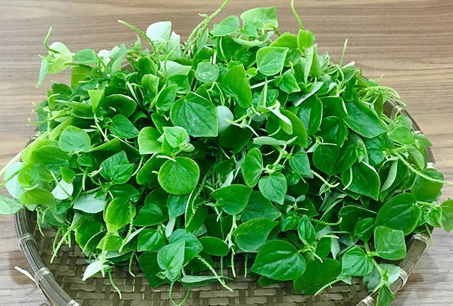 Loại rau được thế giới v&iacute; 'si&ecirc;u thực phẩm' mọc đầy ở Việt Nam, nhiều người bỏ qua m&agrave; kh&ocirc;ng biết c&ocirc;ng dụng qu&yacute; - Ảnh 3.
