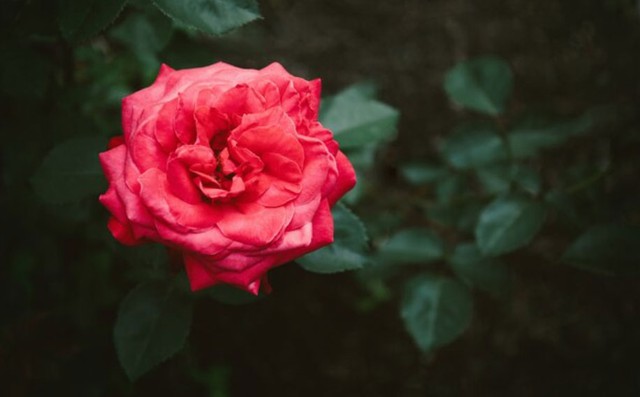 Giờ sinh &Acirc;m lịch của người c&oacute; t&acirc;m thiện n&ecirc;n ph&uacute;c kh&iacute; d&agrave;y, hậu vận cực vượng - Ảnh 2.