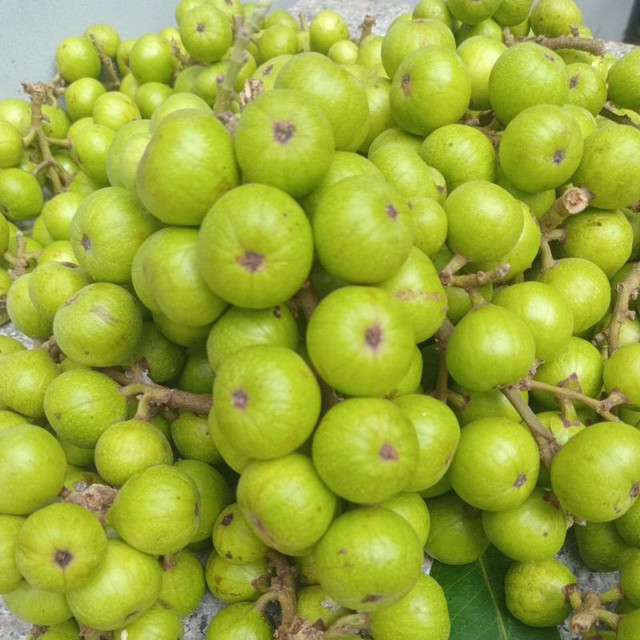 Bật mí 11 thực phẩm giúp xương chắc khỏe như sắt, ngừa loãng xương cực tốt - Ảnh 2.