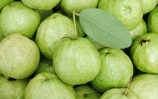 Cách ăn ổi đúng cách tốt cho sức khỏe - Ảnh 1.