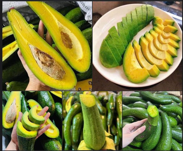 Loại bơ c&oacute; h&igrave;nh d&aacute;ng thu&ocirc;n d&agrave;i đang b&aacute;n đầy thị trường c&oacute; g&igrave; đặc biệt m&agrave; khiến nhiều người ti&ecirc;u d&ugrave;ng kh&ocirc;ng tiếc tiền chi mạnh tay - Ảnh 3.