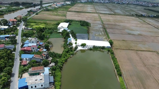 Rò rỉ nước thải, bốc mùi hôi nồng nặc tại một trang trại chăn nuôi ở Ninh Bình - Ảnh 1.
