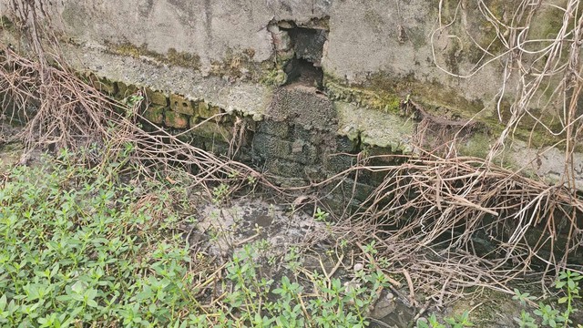 Vụ trang trại chăn nuôi rò rỉ nước thải ở Ninh Bình: Phó Chủ tịch tỉnh chỉ đạo kiểm tra - Ảnh 2.