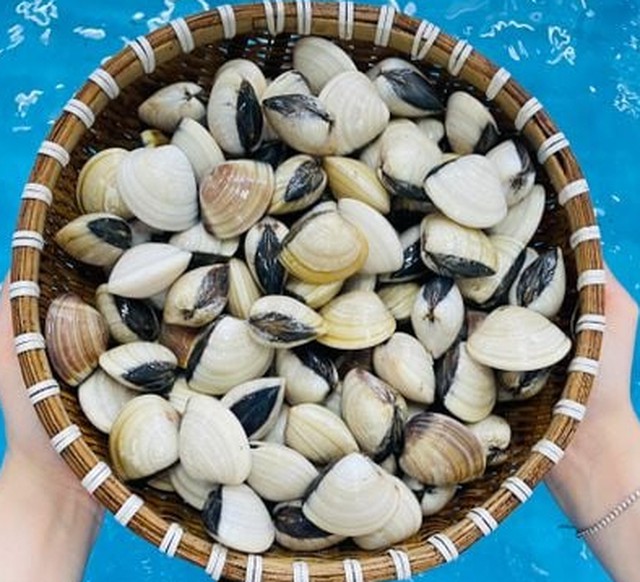 C&aacute;ch l&agrave;m ngao sốt bơ tỏi thơm nức chấm b&aacute;nh m&igrave; su&yacute;t xoa ngon đến giọt cuối c&ugrave;ng  - Ảnh 1.