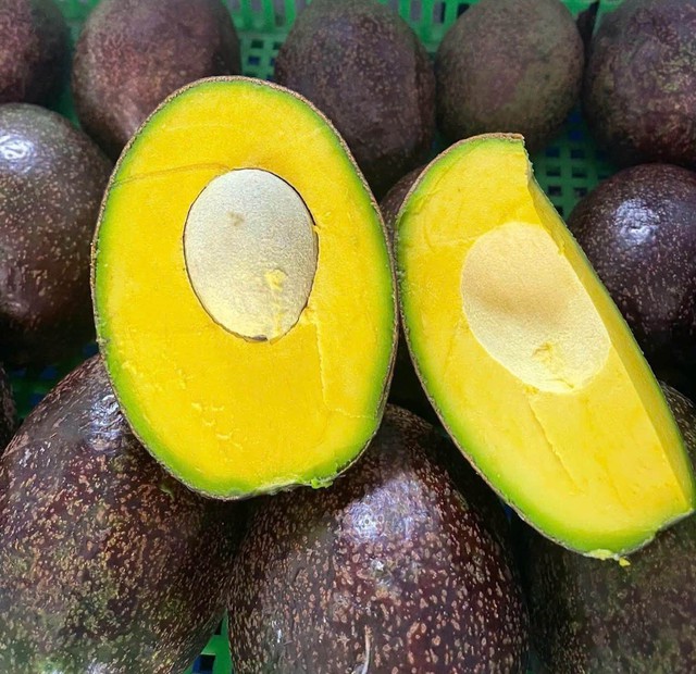 Một loại bơ cơm v&agrave;ng, dẻo kẹo, c&oacute; thể nặng tới cả kg/quả đang được c&aacute;c chị em thi nhau &lsquo;săn đ&oacute;n&rsquo; tr&ecirc;n thị trường - Ảnh 4.
