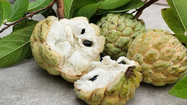 Loại quả đang v&agrave;o m&ugrave;a ngon nhất, tốt cho tim mạch v&agrave; huyết &aacute;p, biết 4 mẹo n&agrave;y sẽ chọn được quả ngọt thơm - Ảnh 4.