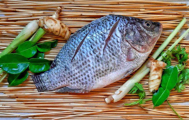 Loại c&aacute; rẻ b&egrave;o b&aacute;n đầy chợ Việt c&oacute; tỷ trọng xuất khẩu 6 th&aacute;ng đầu năm đạt triệu USD, trở th&agrave;nh m&oacute;n sushi tại Nhật Bản - Ảnh 1.