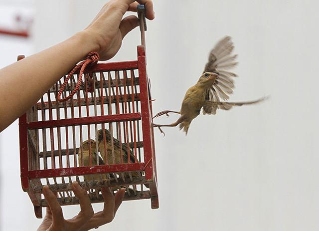Phóng sinh rằm tháng 7: Nguồn gốc, ý nghĩa và cách thực hiện đúng - Ảnh 1.