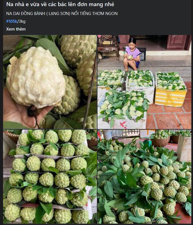 Loại quả đặc sản thơm ngon, ngọt lịm đang vào mùa, tiểu thương nhập hàng tạ mỗi ngày vẫn ‘cháy hàng’ - Ảnh 2.