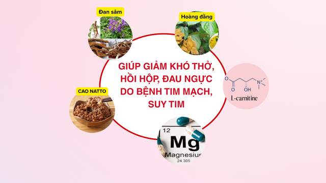 Suy tim giai đoạn đầu có thể cải thiện không? - Ảnh 4.