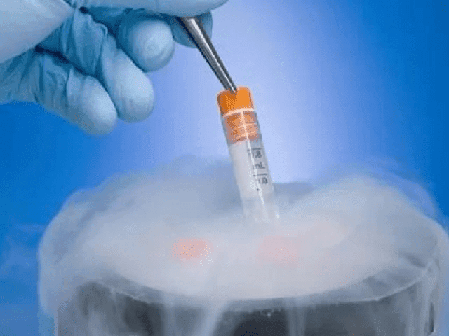 Phát hiện dự trữ buồng trứng suy giảm ở tuổi 28, người phụ nữ quyết định trữ đông trứng để giữ cơ hội làm mẹ - Ảnh 1.