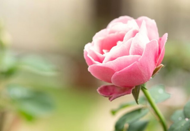 Th&aacute;ng sinh &Acirc;m lịch 'vượng ph&aacute;t' của người tuổi Th&acirc;n: C&agrave;ng lớn tuổi c&agrave;ng nhiều tiền - Ảnh 2.