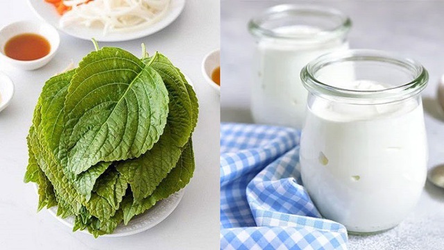 L&agrave;m đẹp bằng l&aacute; t&iacute;a t&ocirc; kh&ocirc;ng phải ai cũng biết - Ảnh 1.
