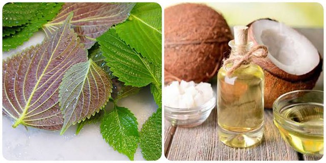 L&agrave;m đẹp bằng l&aacute; t&iacute;a t&ocirc; kh&ocirc;ng phải ai cũng biết - Ảnh 3.