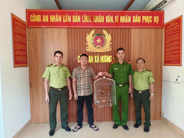 Người dân giao nộp cá thể cu li quý hiếm - Ảnh 1.
