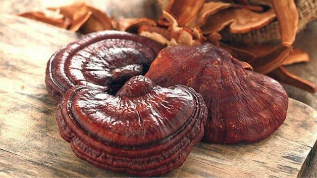 C&aacute;ch sử dụng nấm linh chi đ&uacute;ng v&agrave; an to&agrave;n - Ảnh 3.