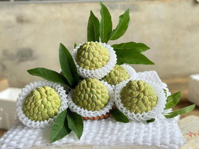 Tiểu thương l&yacute; giải gi&aacute; na dai Đồng B&agrave;nh cao hơn so với những loại kh&aacute;c nhưng vẫn được người ti&ecirc;u d&ugrave;ng đặt mua kh&ocirc;ng ngớt - Ảnh 2.