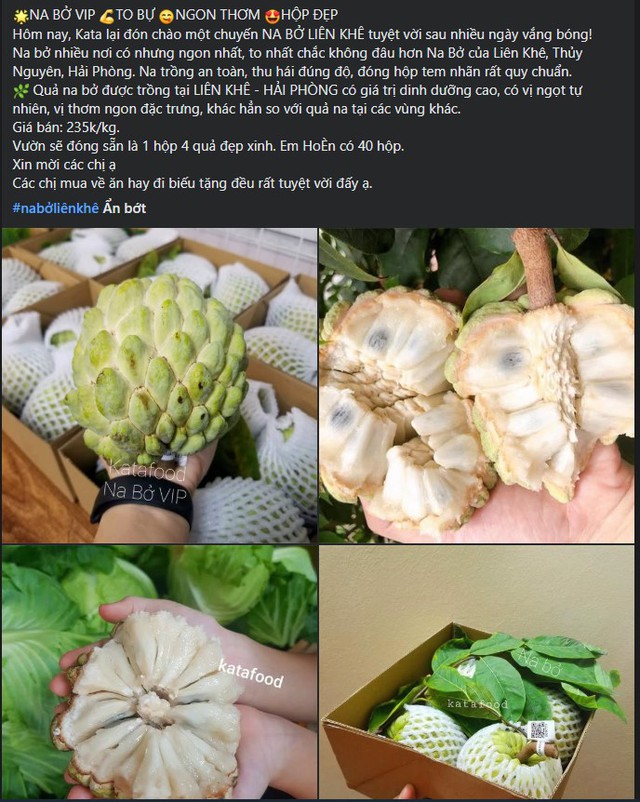 Loại na xưa để rụng đầy gốc nay giá đắt ngang hoa quả nhập khẩu, người tiêu dùng có tiền chưa chắc đã mua được - Ảnh 3.