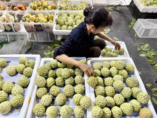Loại na xưa để rụng đầy gốc nay giá đắt ngang hoa quả nhập khẩu, người tiêu dùng có tiền chưa chắc đã mua được - Ảnh 2.