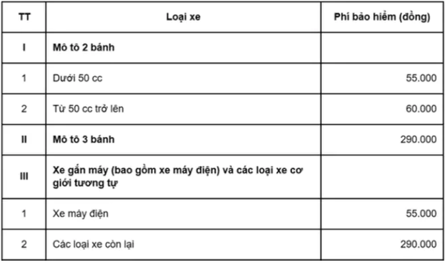 Đi xe m&aacute;y điện c&oacute; bắt buộc phải mua bảo hiểm xe m&aacute;y? - Ảnh 2.