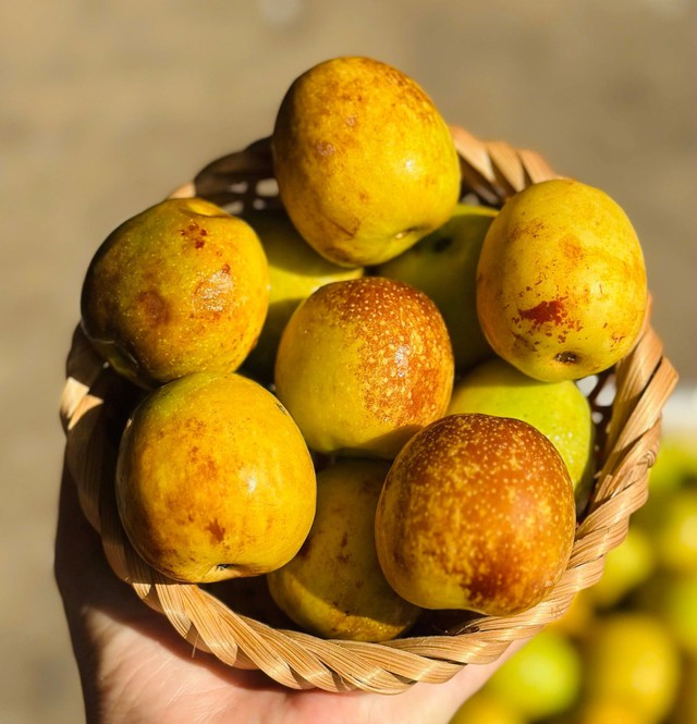 Tiểu thương chỉ c&aacute;ch chọn hồng t&aacute;o ch&iacute;n gi&agrave;, ngọt thơm, ăn một lần l&agrave; m&ecirc; - Ảnh 2.
