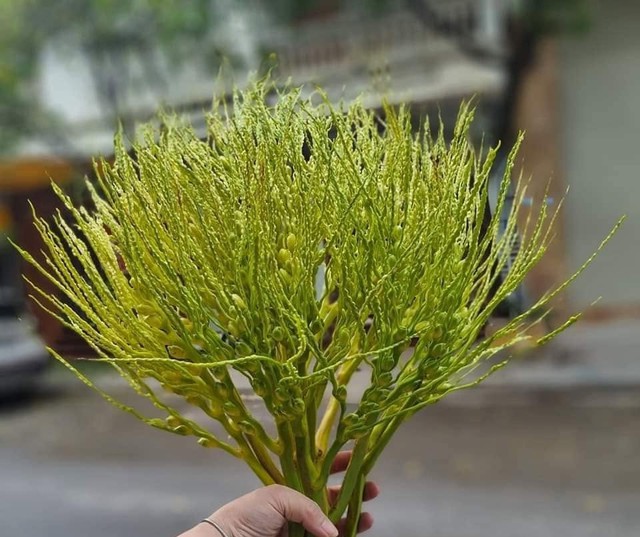 Đừng chỉ c&uacute;ng hoa c&uacute;c, d&acirc;ng những hoa may mắn n&agrave;y c&uacute;ng Rằm th&aacute;ng 7 &acirc;m lịch 2026 n&agrave;y để gia tăng t&agrave;i lộc, nghe t&ecirc;n đ&atilde; &lsquo;gi&agrave;u&rsquo; - Ảnh 5.