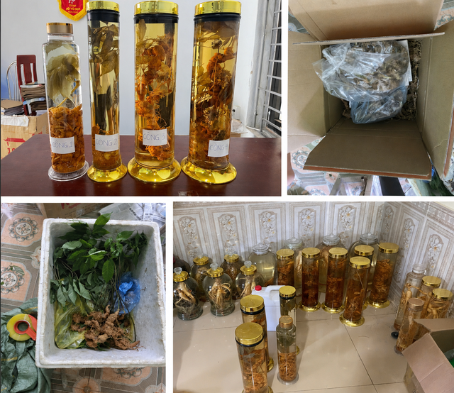 Nữ tiktoker vừa bị khởi tố lừa dối kh&aacute;ch h&agrave;ng b&aacute;n S&acirc;m Lai Ch&acirc;u th&agrave;nh S&acirc;m Ngọc Linh l&agrave; ai? - Ảnh 2.