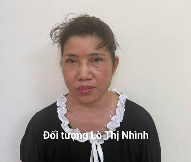 Bắt giữ L&ograve; Thị Nh&igrave;nh về h&agrave;nh vi m&ocirc;i giới mại d&acirc;m - Ảnh 1.