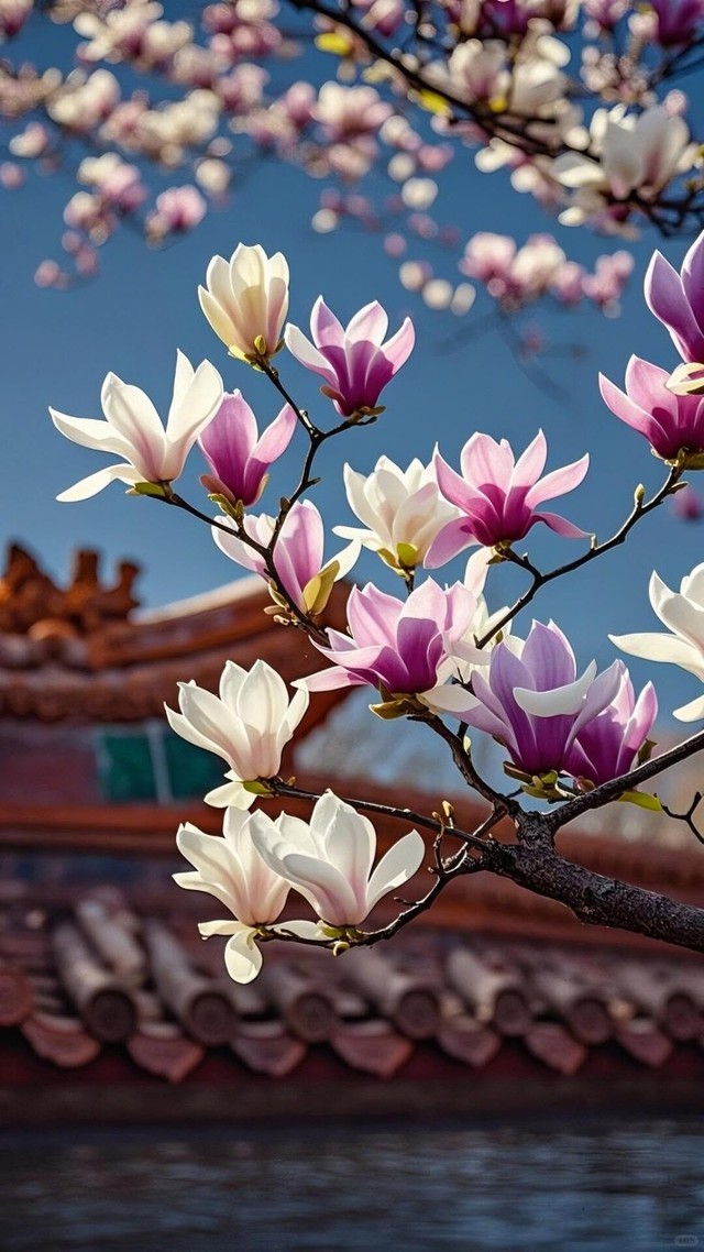 Giờ sinh &Acirc;m lịch của người hậu vận vượng, về gi&agrave; cực ph&uacute; qu&yacute; - Ảnh 1.
