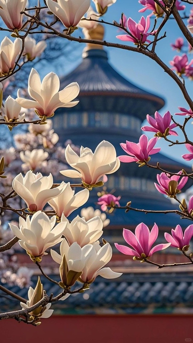 Giờ sinh &Acirc;m lịch của người hậu vận vượng, về gi&agrave; cực ph&uacute; qu&yacute; - Ảnh 3.