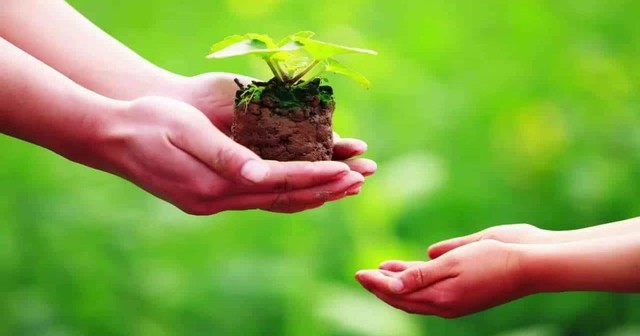L&agrave;m ngay việc n&agrave;y trước khi hết th&aacute;ng 7 &acirc;m để bỏ lại điều kh&ocirc;ng may  - Ảnh 1.