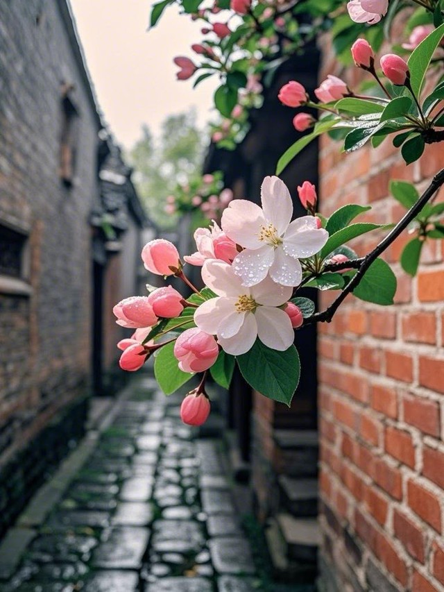 Ng&agrave;y sinh &Acirc;m lịch của người c&oacute; cuộc sống thuận lợi, dễ gặp người n&acirc;ng đỡ - Ảnh 2.