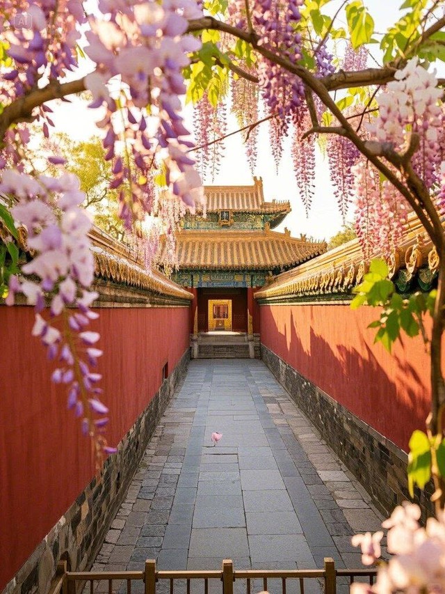 Tháng sinh Âm lịch của người có khí chất nổi bật, càng già càng giàu sang - Ảnh 2.