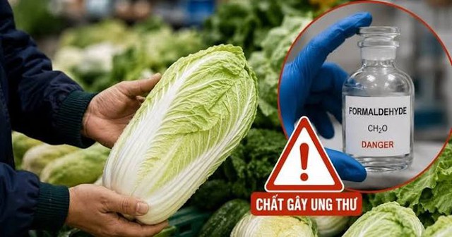 3 C&aacute;ch nhận biết cải thảo bị ng&acirc;m formaldehyde để bảo vệ sức khỏe gia đ&igrave;nh bạn - Ảnh 1.