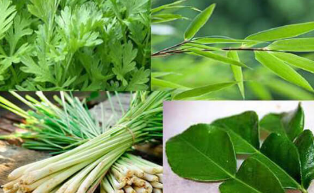 S&aacute;ng tạo c&aacute;c kiểu x&ocirc;ng nh&agrave; hiện đại kh&ocirc;ng phải xoay xỏa nồi ni&ecirc;u - Ảnh 1.