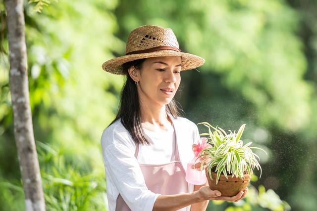 5 cung hoàng đạo này càng về trung niên càng phát tài, an nhàn hưởng phúc - Ảnh 2.