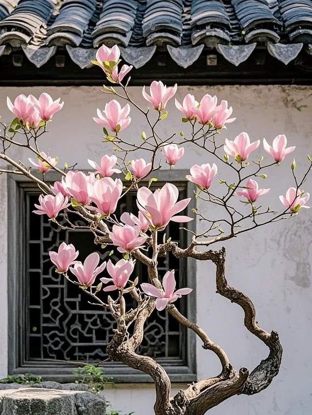 Giờ sinh &Acirc;m lịch của người c&oacute; hậu vận an nh&agrave;n, sung t&uacute;c - Ảnh 1.