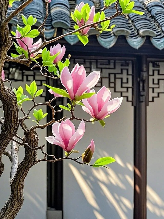 Giờ sinh &Acirc;m lịch của người c&oacute; hậu vận an nh&agrave;n, sung t&uacute;c - Ảnh 2.