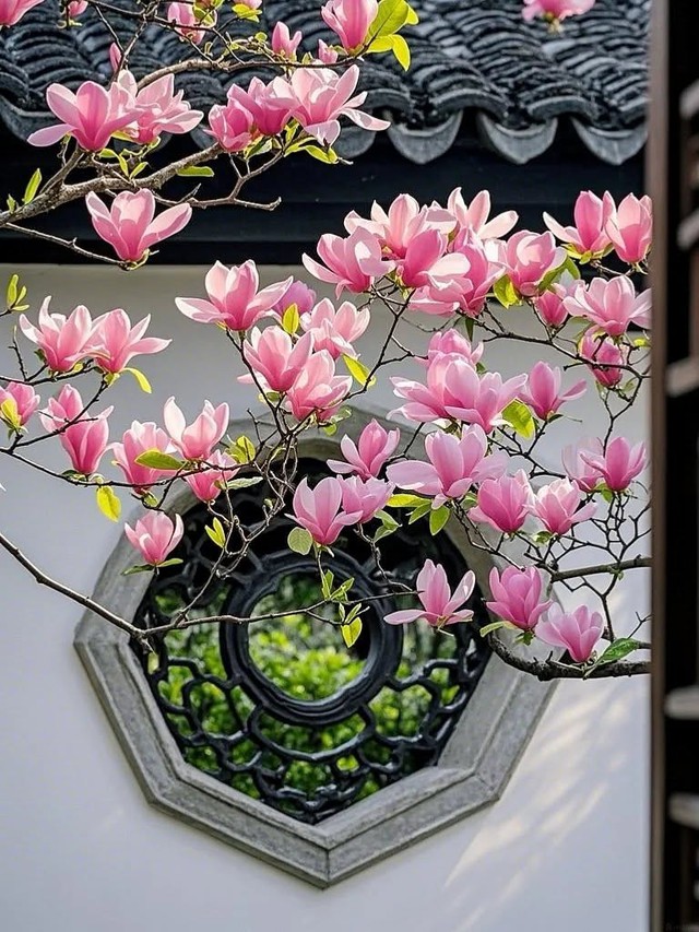 Giờ sinh &Acirc;m lịch của người c&oacute; hậu vận an nh&agrave;n, sung t&uacute;c - Ảnh 4.