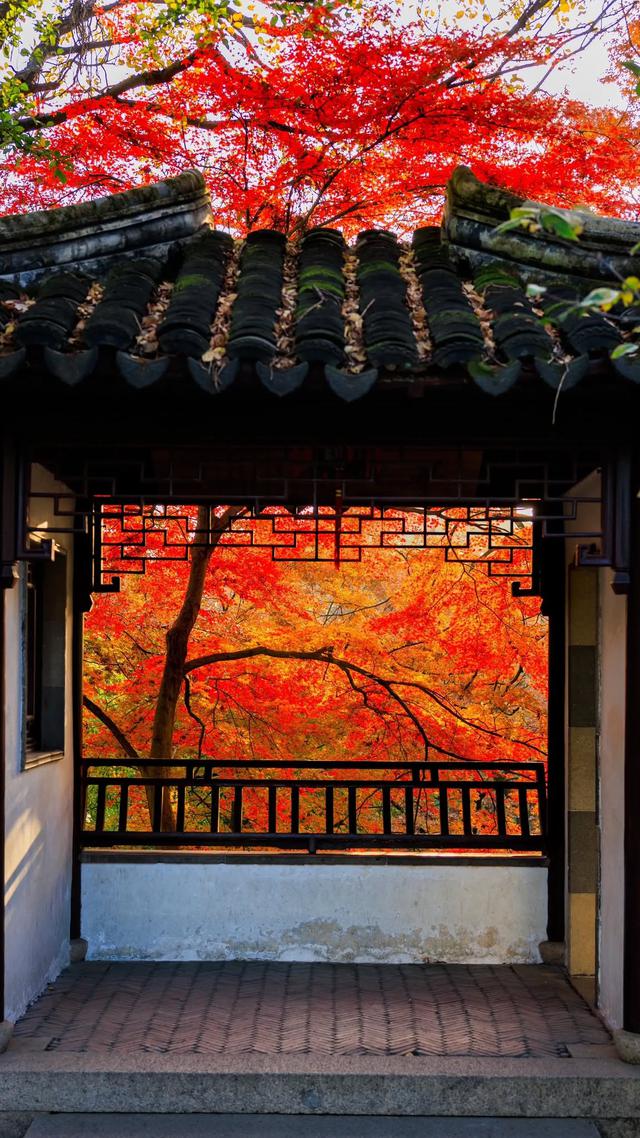 Ng&agrave;y sinh &Acirc;m lịch của người dễ tạo dựng c&aacute;c mối quan hệ tốt đẹp để phục vụ cho sự nghiệp - Ảnh 1.