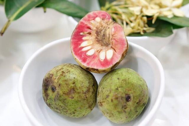 Quả chay – Loại quả dân dã giúp thanh nhiệt, hỗ trợ tiêu hóa theo Đông y - Ảnh 2.