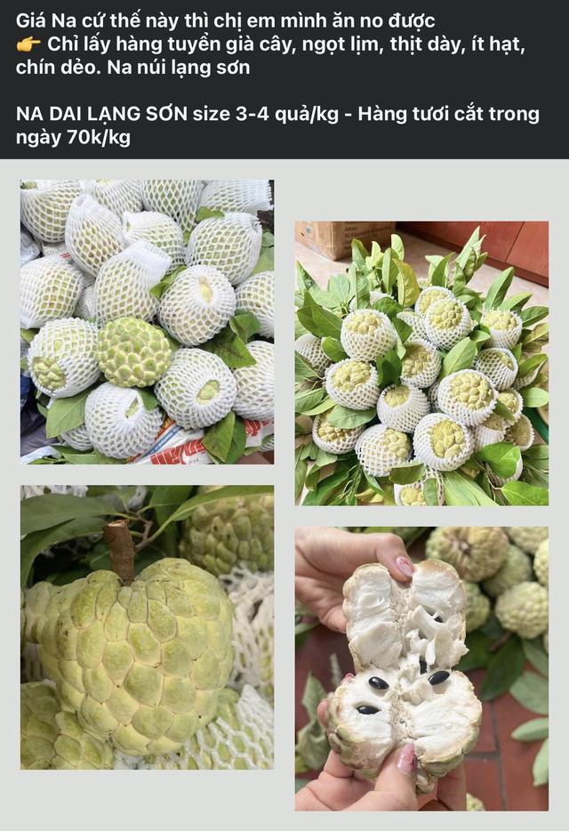 Loại na đặc sản mọc trên núi đá có gì đặc biệt mà được nhiều người tiêu dùng tìm mua đến vậy? - Ảnh 2.