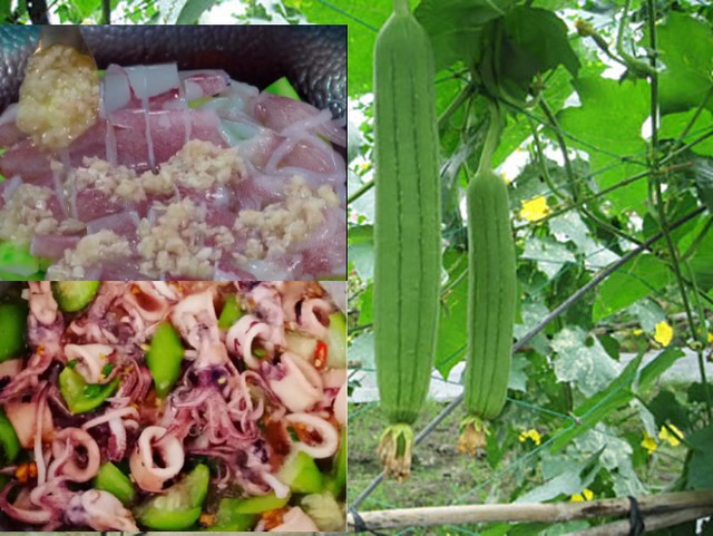 Mực tươi om mướp - món mới không cần nước vẫn mềm ngọt đậm đà cuốn cơm - Ảnh 2.