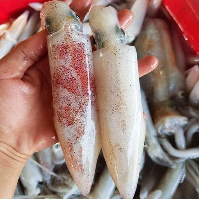 Mực tươirim gừng tỏi nước tương: M&oacute;n ngon cho người th&iacute;ch ăn ngon nhưng ngại đứng bếp l&acirc;u - Ảnh 2.