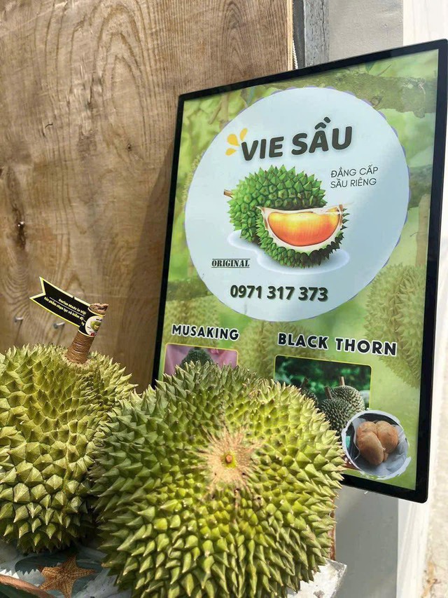 Sầu Black Thorn và Musang King có gì đặc biệt mà cả hai đều có giá 'siêu' đắt trên thị trường? - Ảnh 1.