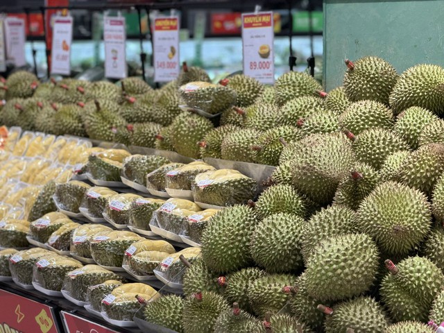 Sầu Black Thorn và Musang King có gì đặc biệt mà cả hai đều có giá 'siêu' đắt trên thị trường? - Ảnh 1.