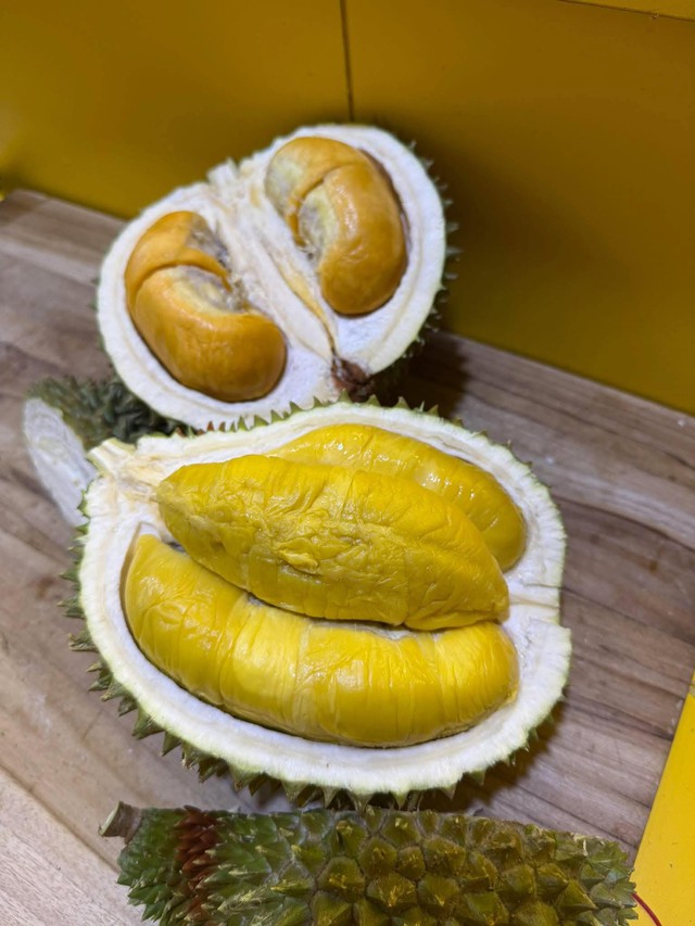 Sầu Black Thorn và Musang King có gì đặc biệt mà cả hai đều có giá 'siêu' đắt trên thị trường? - Ảnh 3.