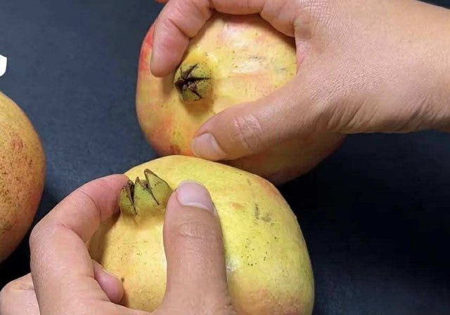 Mua lựu ngon: 4 Mẹo chọn quả mọng nước , hạt căng cho bữa ăn hấp dẫn - Ảnh 4.