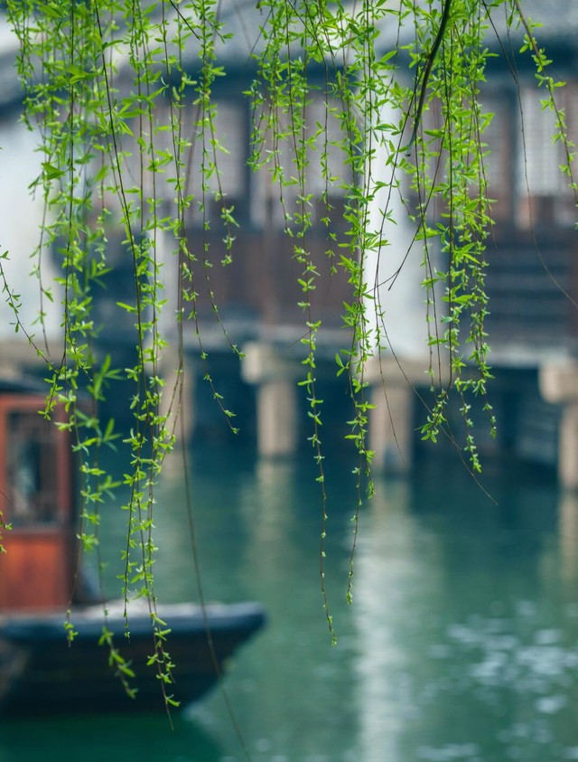Giờ sinh &Acirc;m lịch của những người chăm chỉ nhất, hậu vận h&aacute;i quả ngọt - Ảnh 4.