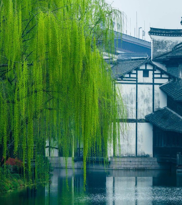 Giờ sinh &Acirc;m lịch của những người chăm chỉ nhất, hậu vận h&aacute;i quả ngọt - Ảnh 3.
